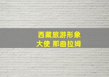 西藏旅游形象大使 那曲拉姆